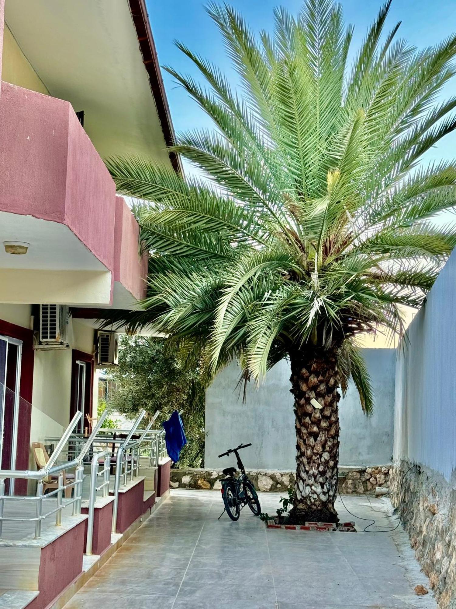Rose Hotel B&B Patara Exteriér fotografie