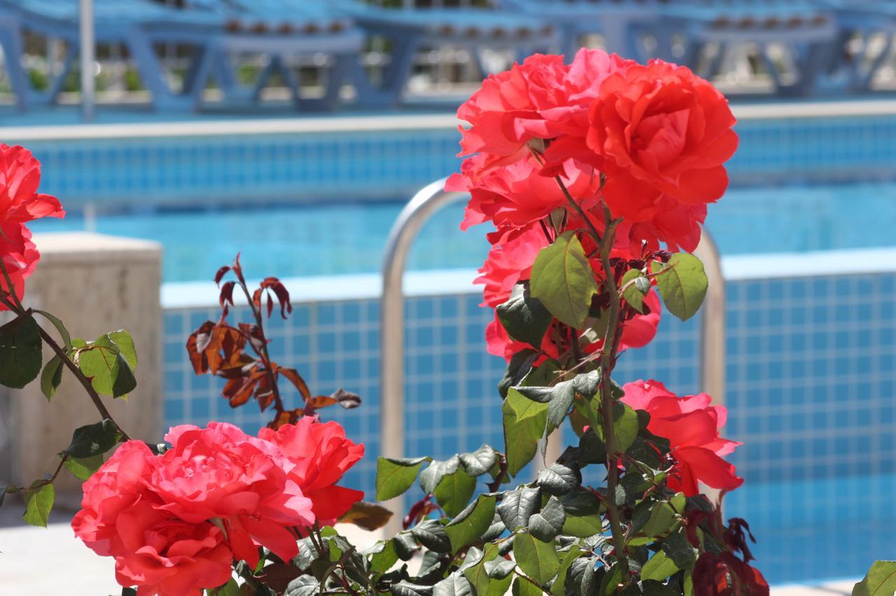 Rose Hotel B&B Patara Exteriér fotografie